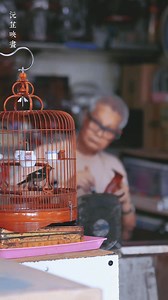 329K views · 3.7K reactions | Vì sao các lồng chim ở Hong Kong thường...