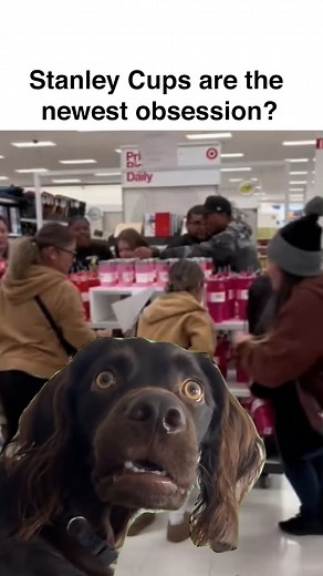 2K views | Why are grown adults fighting over a cup?  | Parsec | Facebook