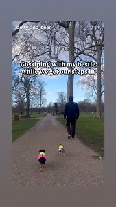 Oneplan Pet Insurance on Reels | Facebook