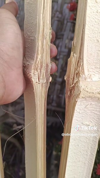 Mengenal Bambu Petung dan Layagan di Bali