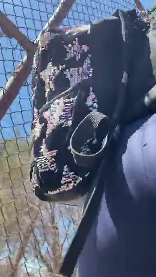 #candid #candidcreepshot#booty