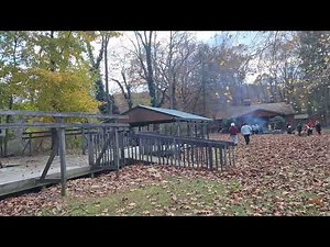 Camp Redwing girl scout camp tent platforms