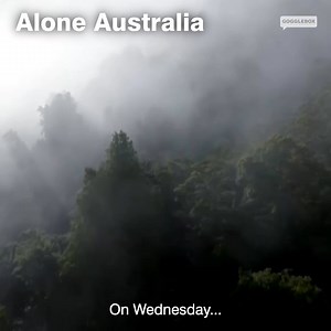 Yes please, somebody get the chopper! 🚁 | Gogglebox Australia