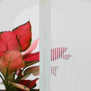 [Hot Item] Quality Lacquered Glass Back Painted Glass