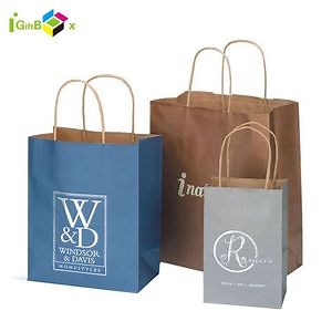 [Hot Item] Custom Printed Kraft Paper Bags for Unique Gift Packaging