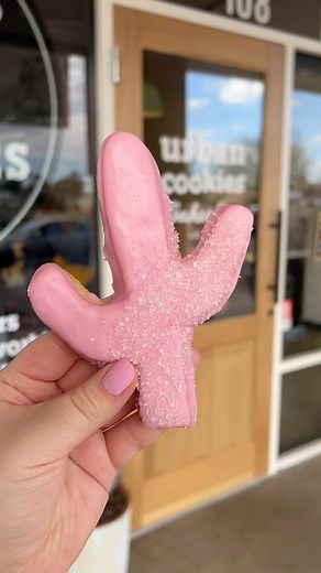 Prickly Pear Saguaro Sugar Cookie 🌵🩷 This cactus-shaped sugar cookie is part of our Celebrating Arizona lineup! 🏜️🌵 featuring a delicious natural prickly pear icing 🤤 Available in the bakeshop through Monday, March 4th! 🤩 | Urban Cookies Bakeshop