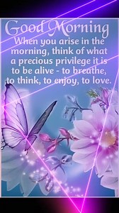 Lilac & Lavender on Reels