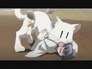 Girl get's raped by kitten