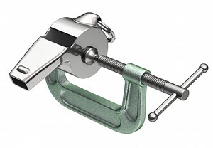 False Claims Act and NDAA Whistleblower Protection FAQs