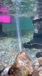 EPIC!!!! #monsterfishkeepers | MonsterFishKeepers.com