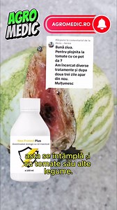 Ce tratament aplic pentru plosnita la tomate sau alte legume? #agromedicro #plosnitatomate #plosnitalegumelor #plosnitaverde #insecticidbio Pentru ploșnițe la legume, chiar dacă acum suntem în non sezon, vreau să vă prezint un Biostimulator ecologic cu rol insecticid, care conține ulei de neem pe care l-am testat anul acesta și are un efect bun contra ploșnițelor. Pe lângă nim mai conține ulei de portocală, ulei de parafină și bacterii benefice, este un produs cu efecte mai bune comparativ cu ul