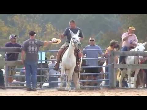 Mule Racing