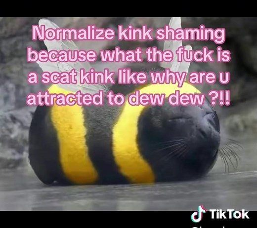Understanding Scat Kinks: Normalizing Kink Shaming