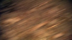 4.2K views · 135 reactions | SO SWEET: A K9 officer gets a proper hero's goodbye and a sweet treat before retiring. ❤️❤️❤️ | Fox Carolina News | Facebook