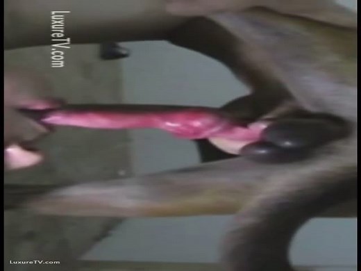 Girl Deepthtoat Dog All Way To The Knot