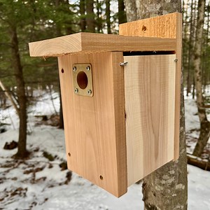 Chickadee House. Handmade Western Red Cedar Birdhouse for Black-capped Chickadees. - Etsy Schweiz