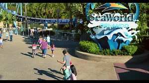 SeaWorld Orlando on Reels