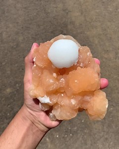 Quarry Fresh 📣 Alluring Specimen of Bald Snow White Scolecite Scoop on Bright Orange Stilbite Available! USD 200 (Free Shipping) Message Us Now SuperbMinerala.Us #scolecite #stilbite #rareminerals #mineral #minerals #superbminerals #minerales #crystals #crystal #mineralsforsale #fineminerals #crystalsforsale #crystalshop #crystalwholesale #crystalvibes #crystalenergy #crystalhealing #crystaladdict #crystalsofig #crystalsofinstagram #mineralsofig #mineralsofinstagram #crystalporn #mineralporn #c