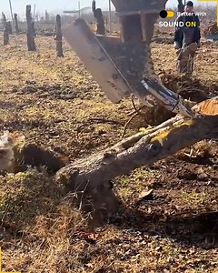 2.4K views | Excavator Tree Removal. #TreeRemoval #LandClearing | Gizmo Trends | Facebook