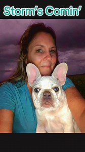 Ravensduke French Bulldogs on Reels