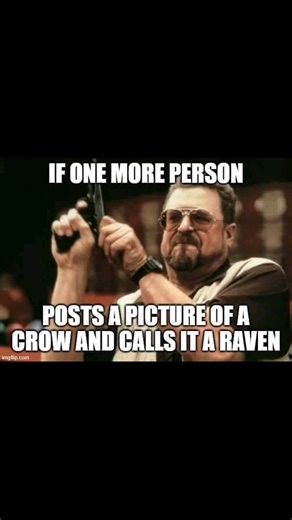 ~Old Ass Pagan Memes~ | Pagan & Occult Humor