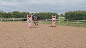 We did really try to do it properly today, buy Bob thought it was the best fun to take off round the arena with no breaks.... All the exercises I was trying to do with them, to maintain contact and a better canter, were very hit and miss as bob had very little in the way of breaks...🤣 However I think they did super in the end, he just has all the fun at home, if only we can get that in the ring, it will all come together ❤️. Ella is his enabler, she loves him so much he gets away with murder, I