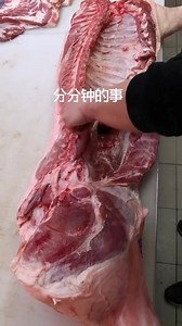 🐷🐷🐷 | Come2mesite