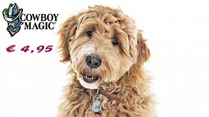 Cowboy Magic Europe on Reels