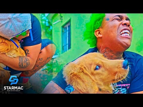 El Perro 🦮🐾 - El Cherry Scom ( Video Oficial :) 🤣🐕