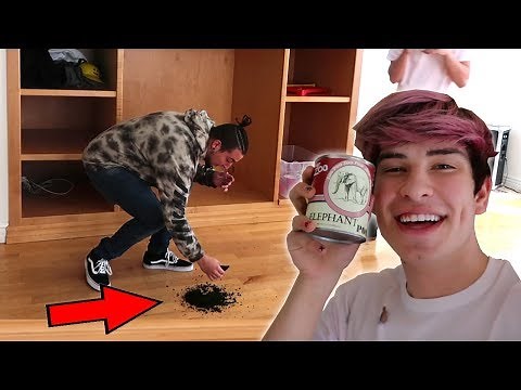 ELEPHANT POOP PRANK ON ROOMMATE