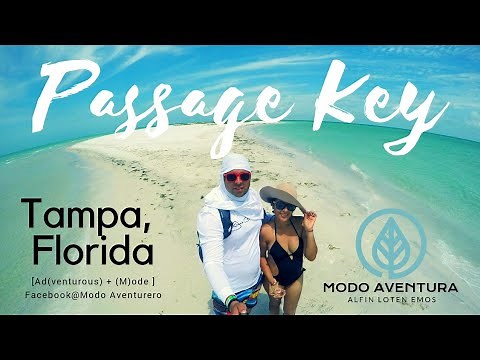 Passage Key Sandbar "Naked Island"/ Kayaking ***Subscribete***👇👇👇