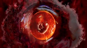 17K views · 329 reactions | De la puberté à la ménopause, le corps de la femme vit au rythme du cycle ovarien. | Docteur Majid Benjelloun Gynécologue | Facebook