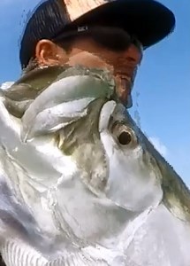 Fish Fighting Back - Tarpon Uppercut #fishing #fypシ #paddleboard | Joey Antonelli Fishing
