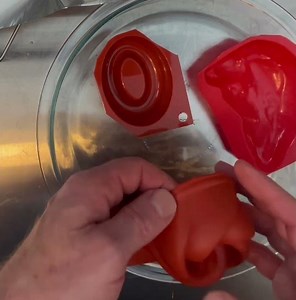 Does this really work? ￼Caregivers Tip How Molds Transform Pureed Meals (Pureed/Dysphagia)