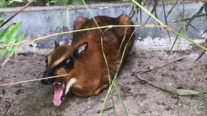 Palm Beach Zoo on Reels | Facebook