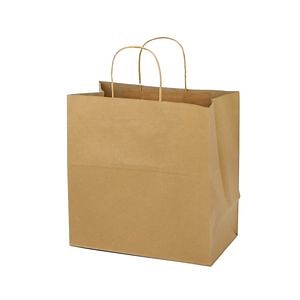 [Hot Item] Natural Kraft Shopping Paper Bag with Paper Twist Rope Handles