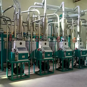 [Hot Item] Green Torch Maize Mill Meal Milling Machines Price