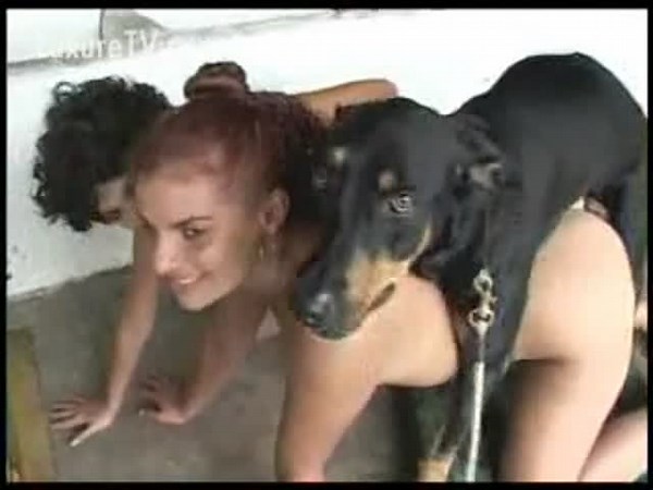 South American girls fucking the farm dog on the stables