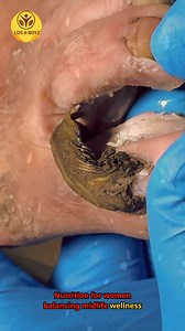 Ep.8219 Steady meals and practical care ease rainy weekday flow 💖🥰 #BalancedPlate #SmartGrocery #MindfulBalance | LOS A-T BOYZ