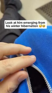 Puppies can sleep up to 18–20 hours a day because their growing bodies and developing brains need plenty of rest to stay healthy and strong! 🐶💤 Share and follow if you like dog videos Credit unknown Please DM us for credit #dog #doglover #cutedog #happydog #puppy #sleepy #sleepypuppy #cutepuppy | My Floofy