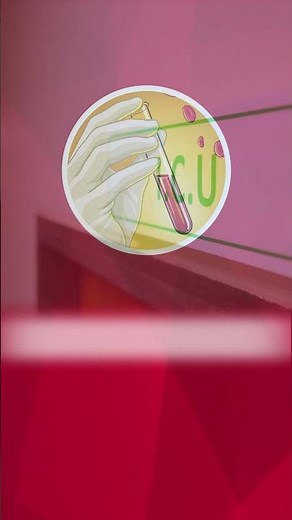 Small-volume Blood Collection Tubes