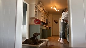 14 reactions | Pearl Making duration look easy for this girl Pearl your impulse control is impeccable | Imprinted Paws | Facebook