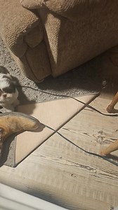 1.9K views · 156 reactions | I'm gone 20 min to shower and she has the audacity to mess up my already messy room....then the backtalk!!!! This is getting outta control!!! Hahahaha | Bryan Coyer | Facebook