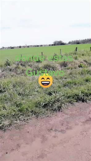 Mariana Casais on TikTok