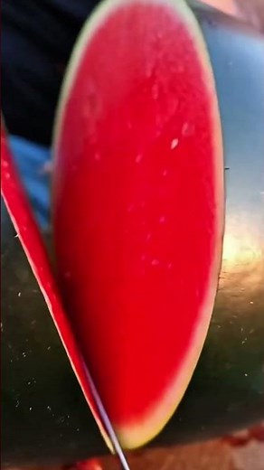 Densuke Watermelon 🍉 The Rare Black Watermelon Worth Thousands!