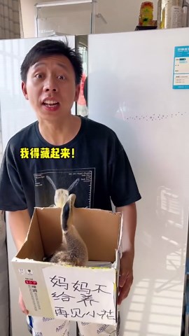 爸爸真的是一点常识都没有，竟然还想拿猫粮喂鸭子！幸好多宝还