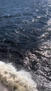 1.3K views · 18 reactions | Come along for the ride on the Cross Bay...