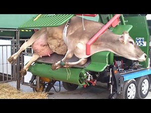 Amazing modern farm machines. | Beautiful farmer girl | #withme