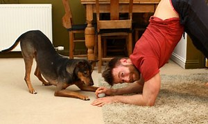 Dundee man turns Sri Lankan street dog into yoga star - Breaking News | Daily Mirror