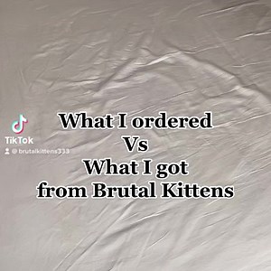 🙀Stand Out from the Crowd with Hilarious Cat-Themed Parodies of Classic Metal Merch. Order Now & Unleash Your Inner Rockstar. | Brutal Kittens